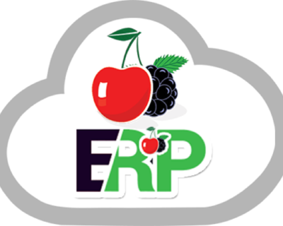 Cherry Berry ERP – Enterprise Resource Planning