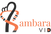 SambaraVid – best video editing and 2d animation services