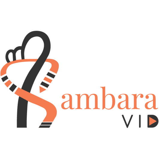 SambaraVid – best video editing and 2d animation services